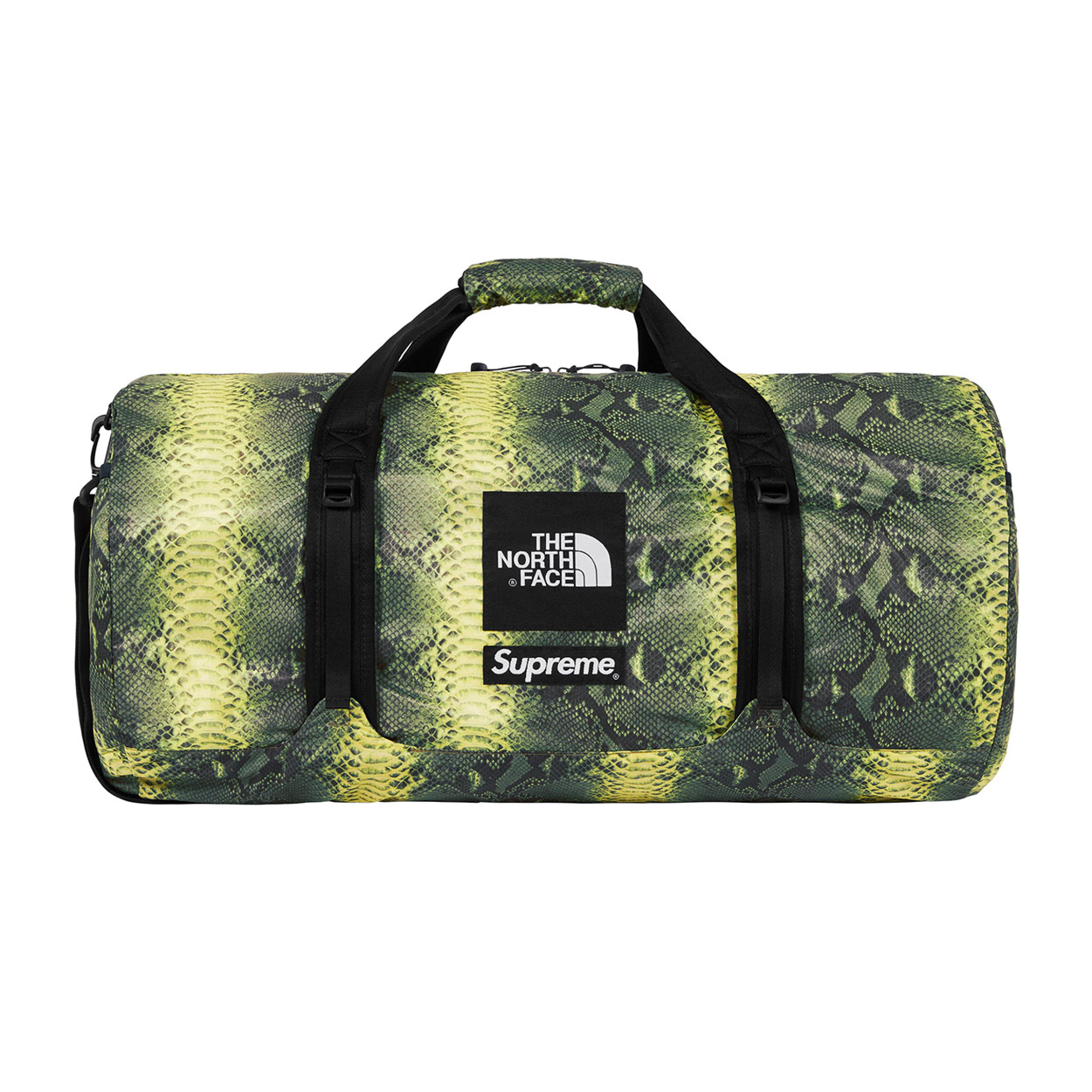 supreme the north face snakeskin lightweight day pack green