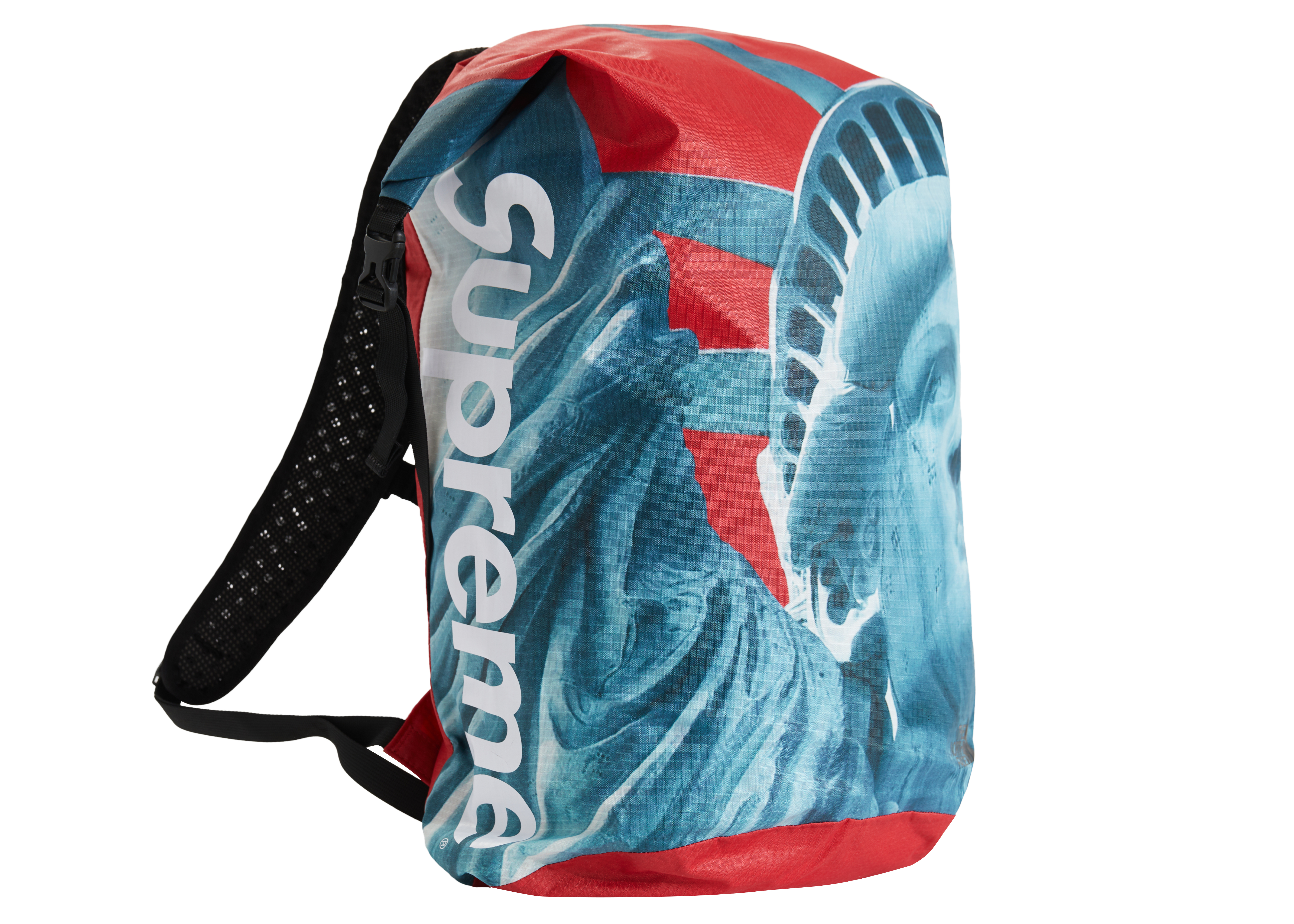 supreme north face statue of liberty backpack