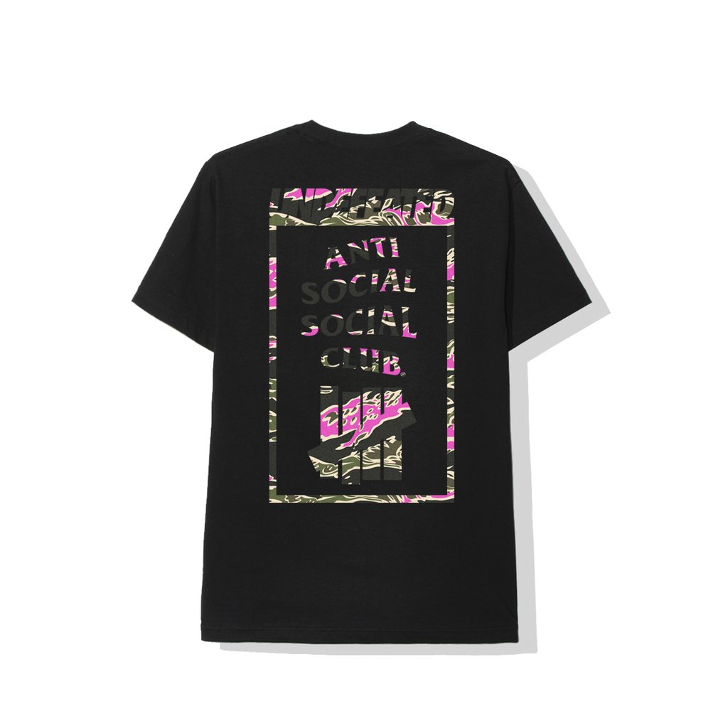 assc undefeated