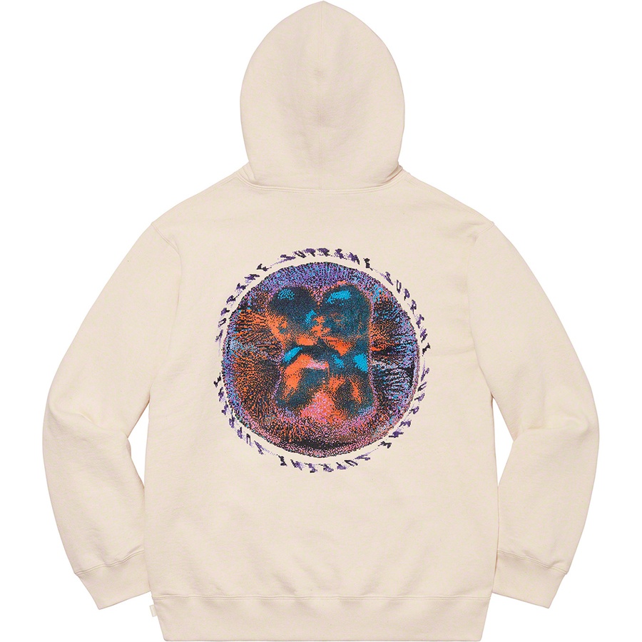 embryo supreme hoodie