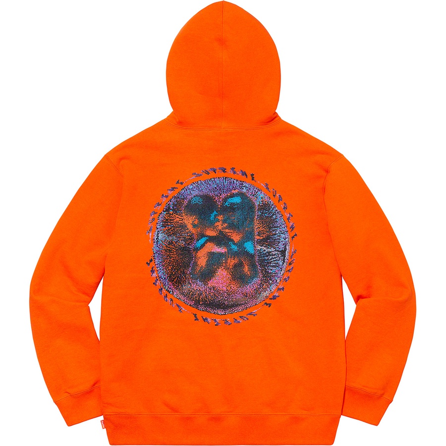 supreme embryo hooded sweatshirt