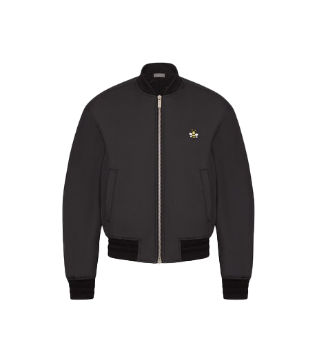 dior bee kaws