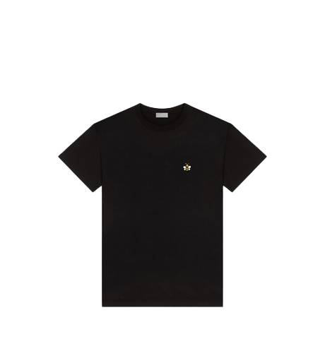 dior kaws bee shirt