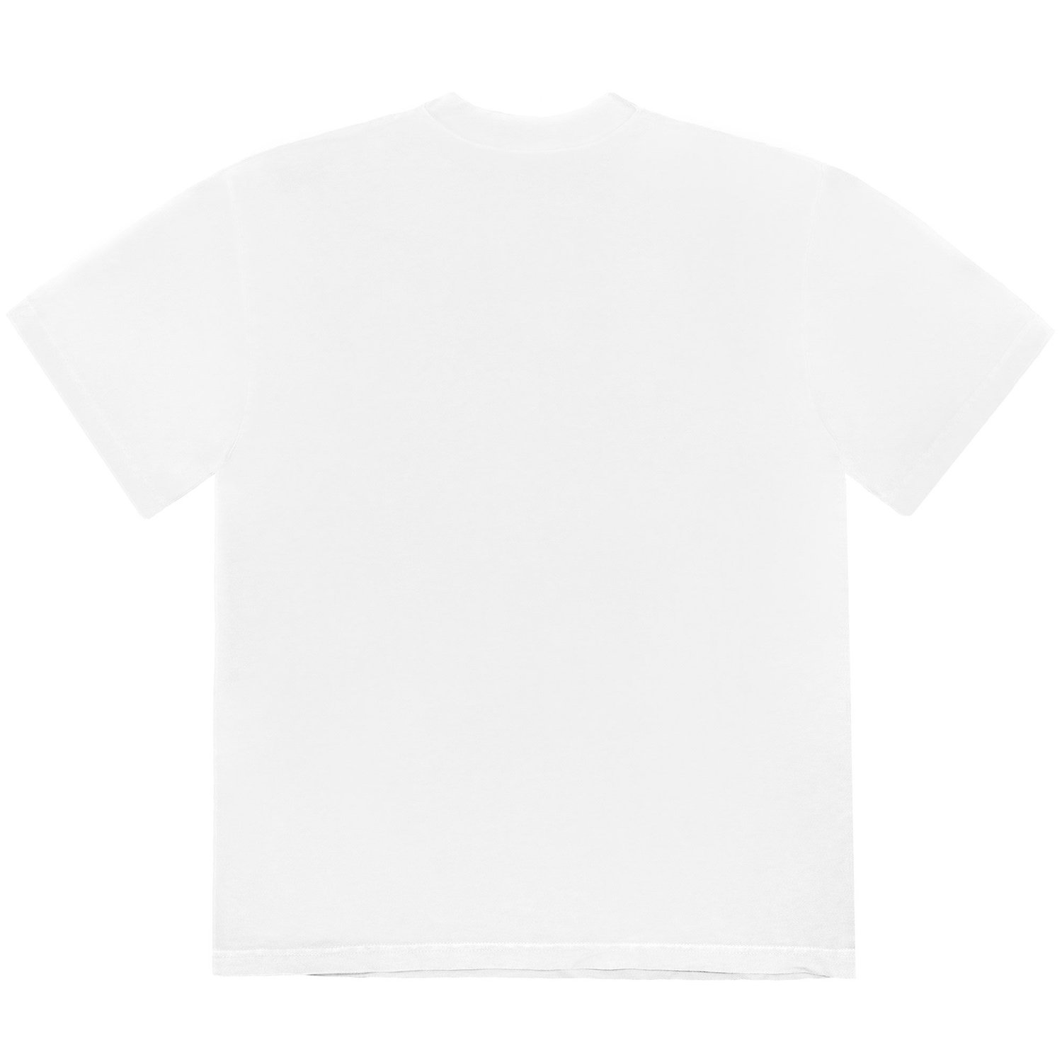 cactus pack shirt