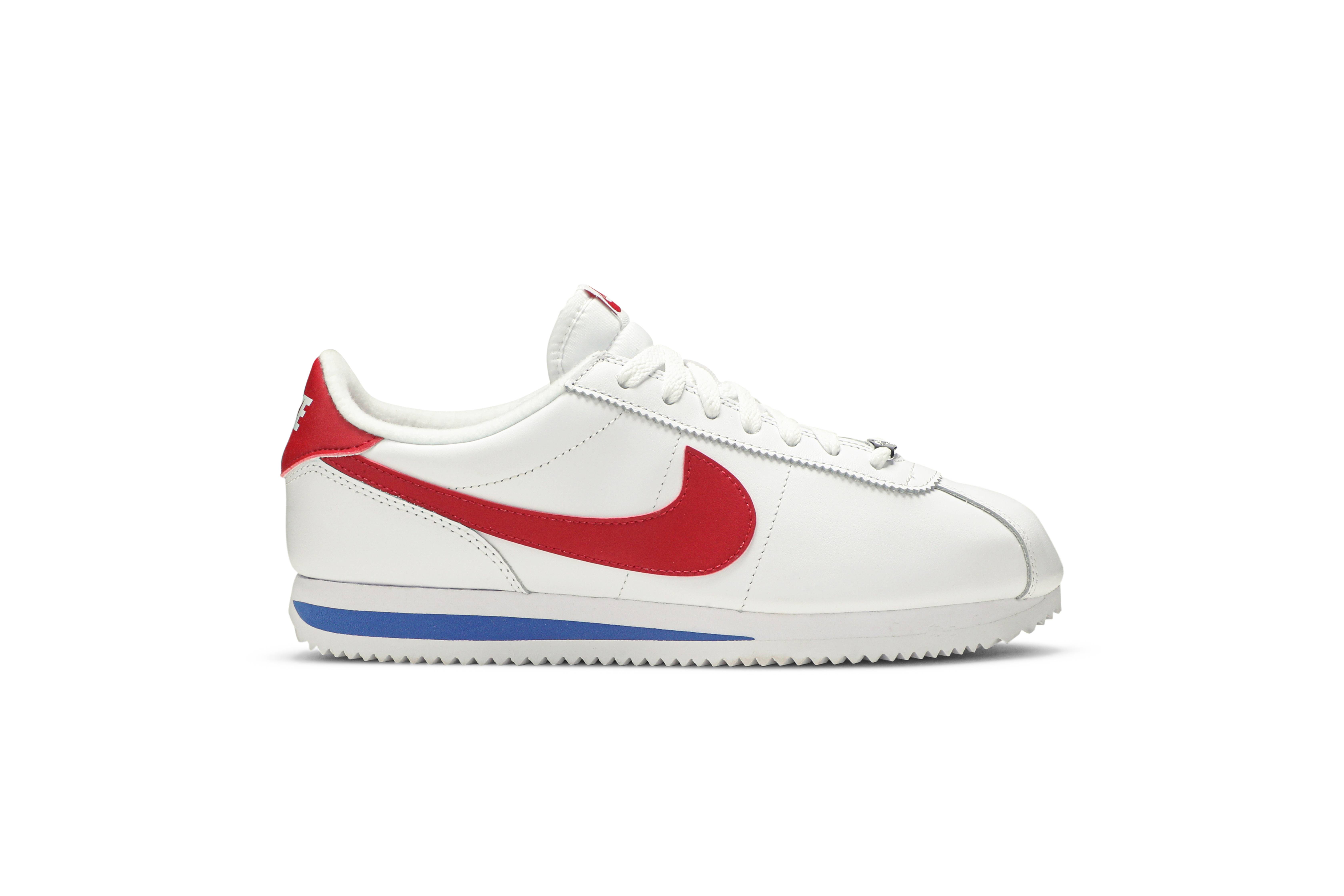 shark tooth cortez