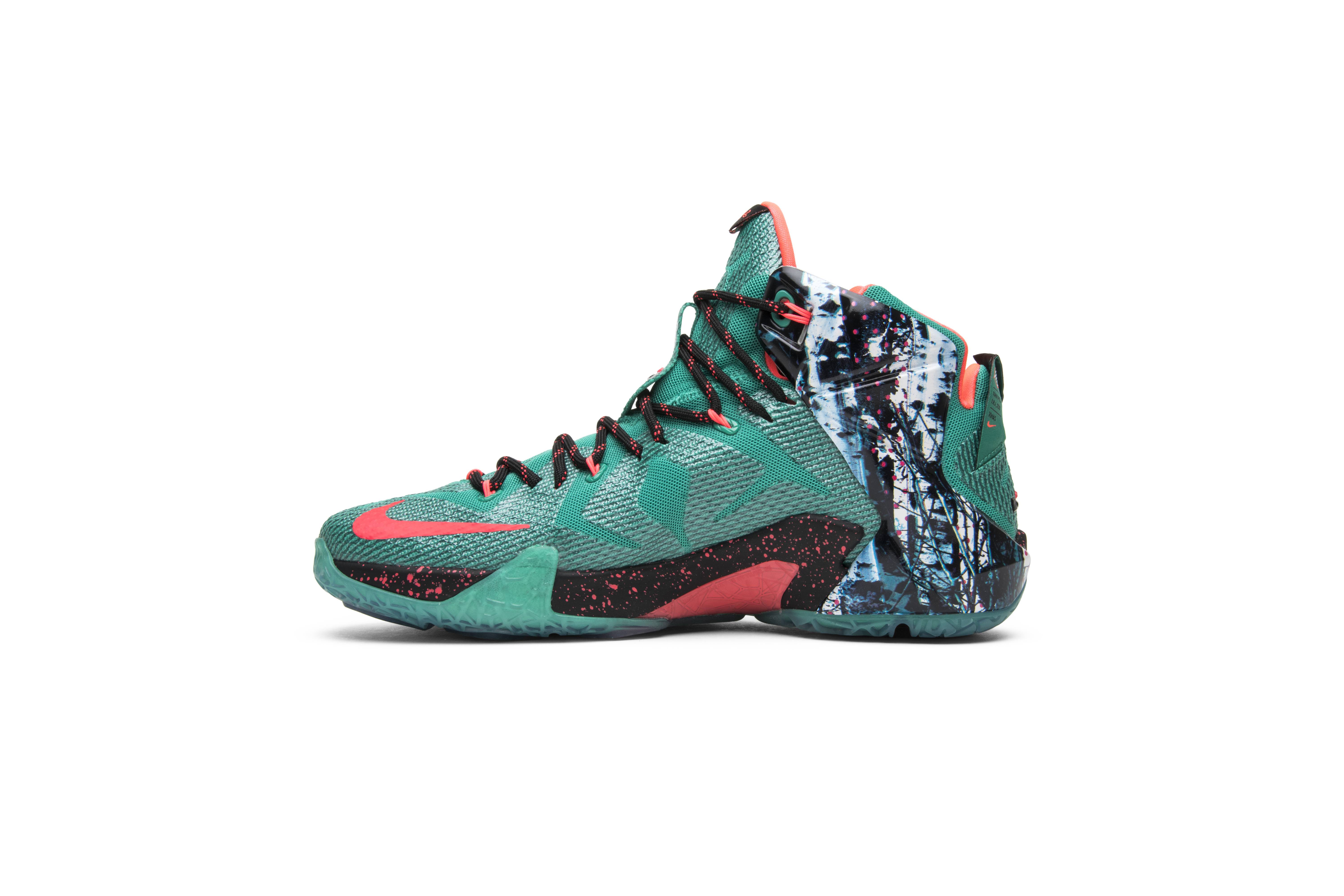 akron birch lebron 12