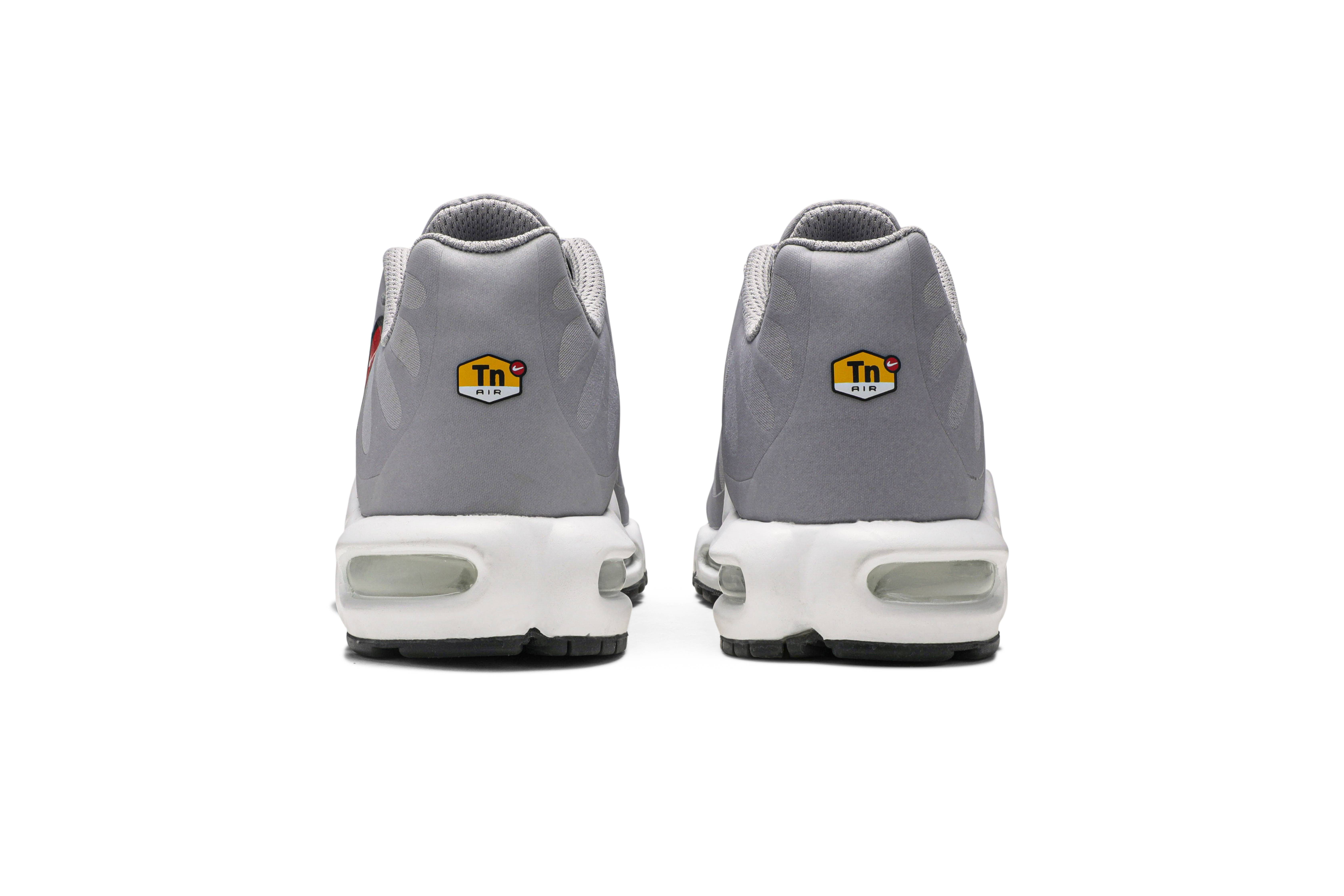 Nike Air Max Plus Big Logo Wolf Grey 
