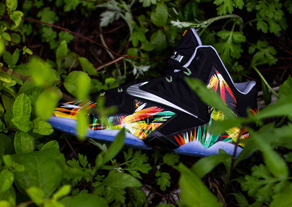 lebron 11 everglades