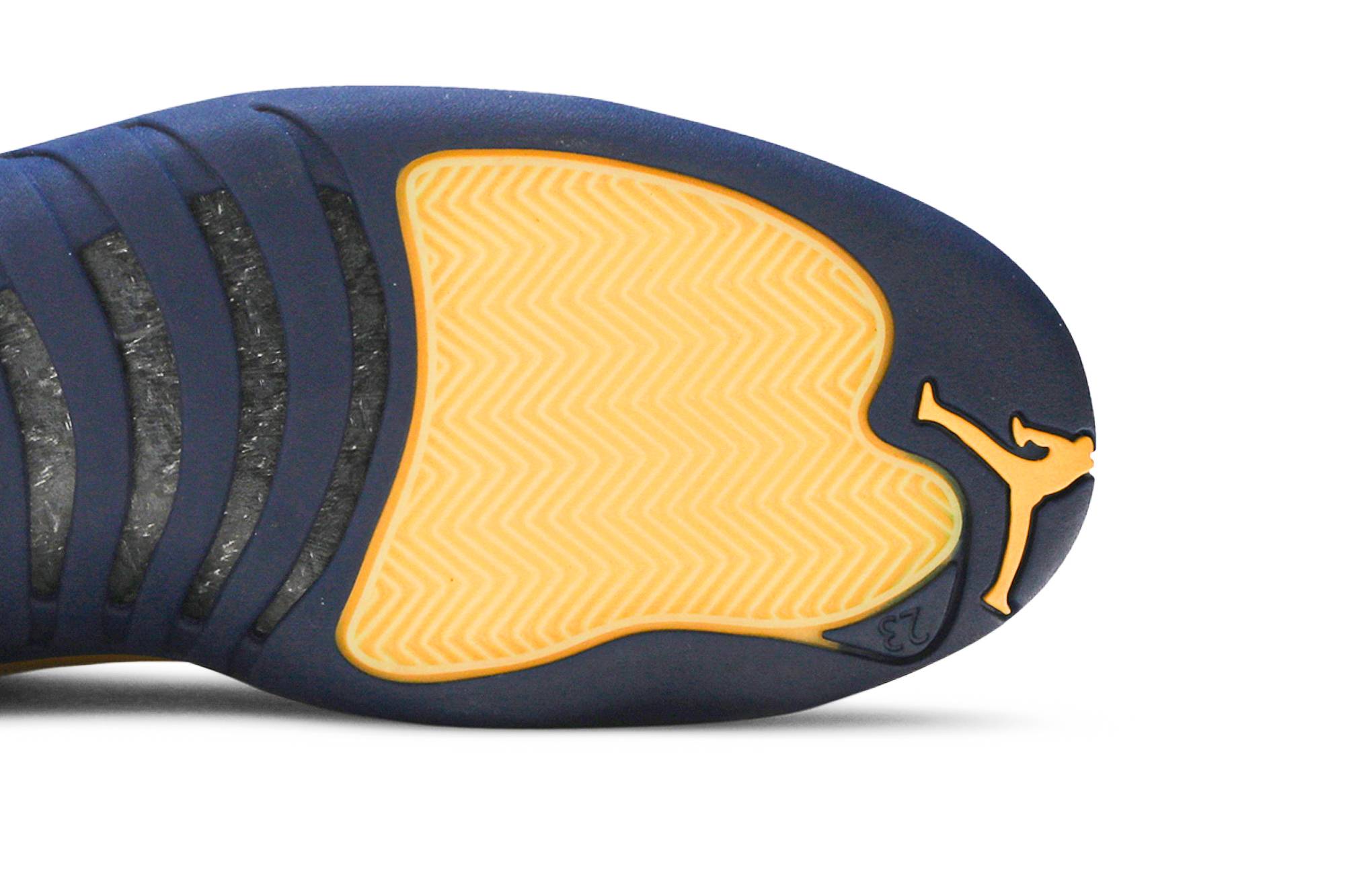 michigan wolverines jordan 12