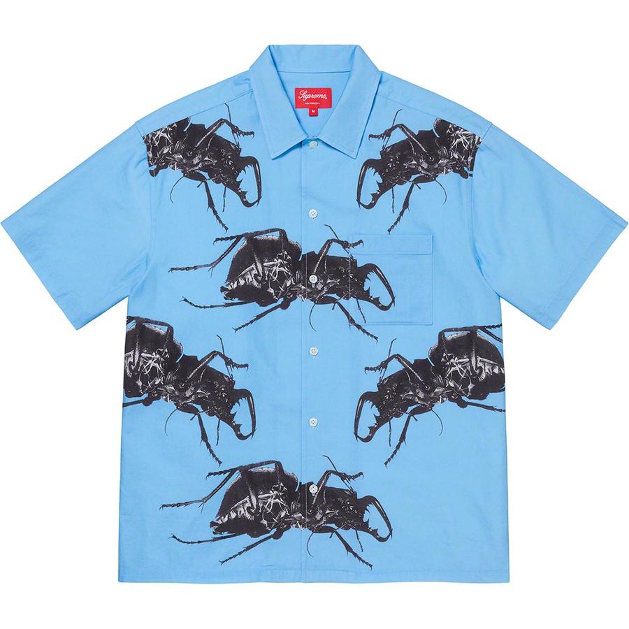 supreme beetle shorts