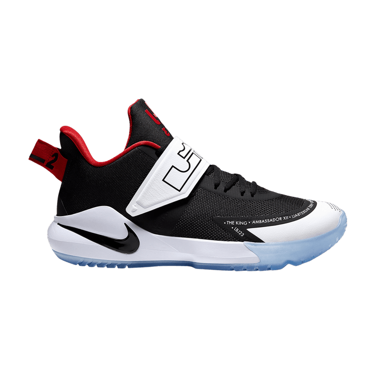 lebron ambassador 12