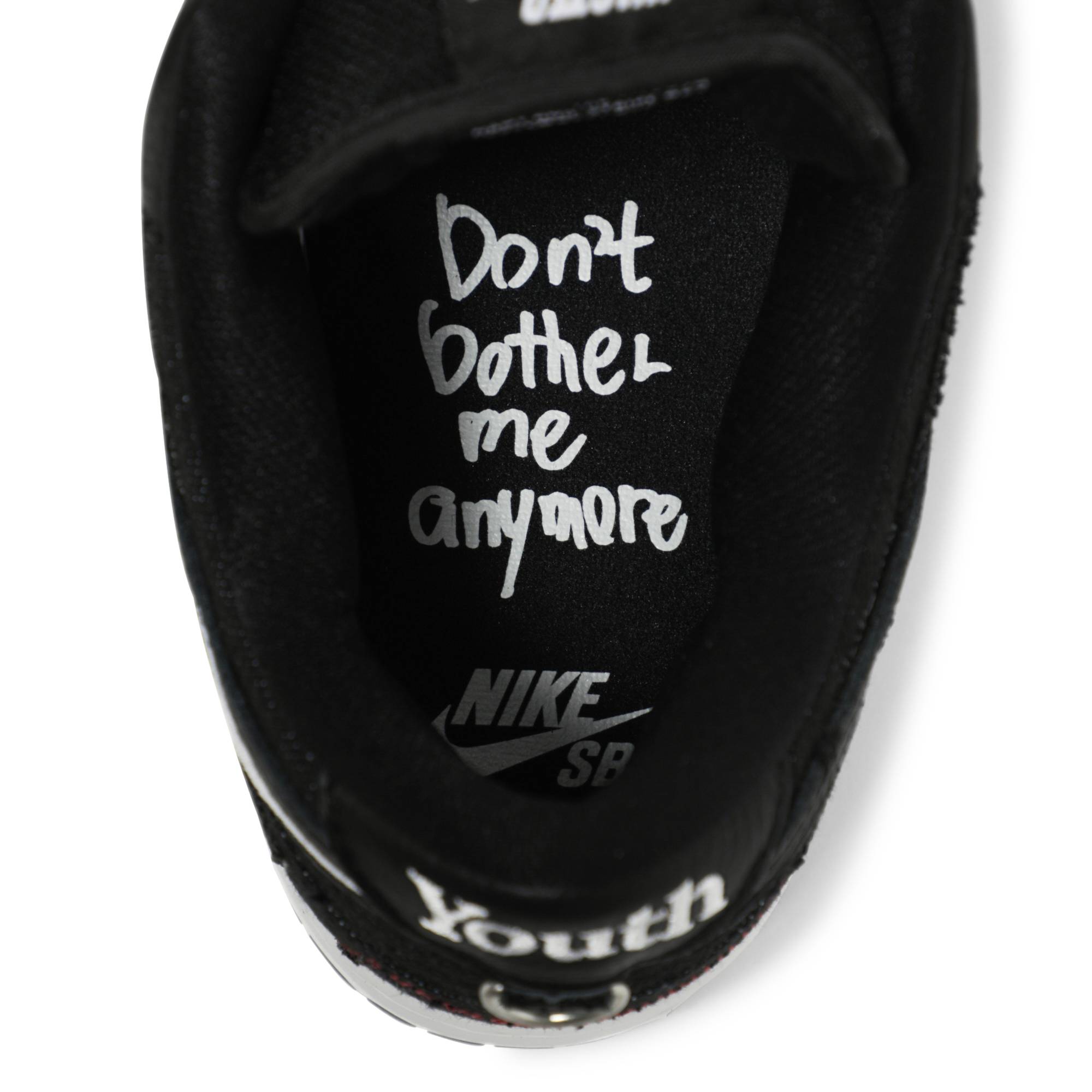 Wasted Youth x Nike SB Dunk Low 'Black 